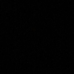 Meet your Posher, Benito